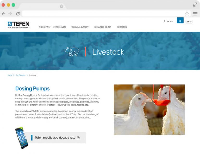 Tefen website design and developed