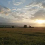 גלה מדוע אתה עשוי לשלם מסים על פאנלים סולאריים של השכן שלך וכיצד זה משפיע על חשבונות האנרגיה והחוק באזור שלך.