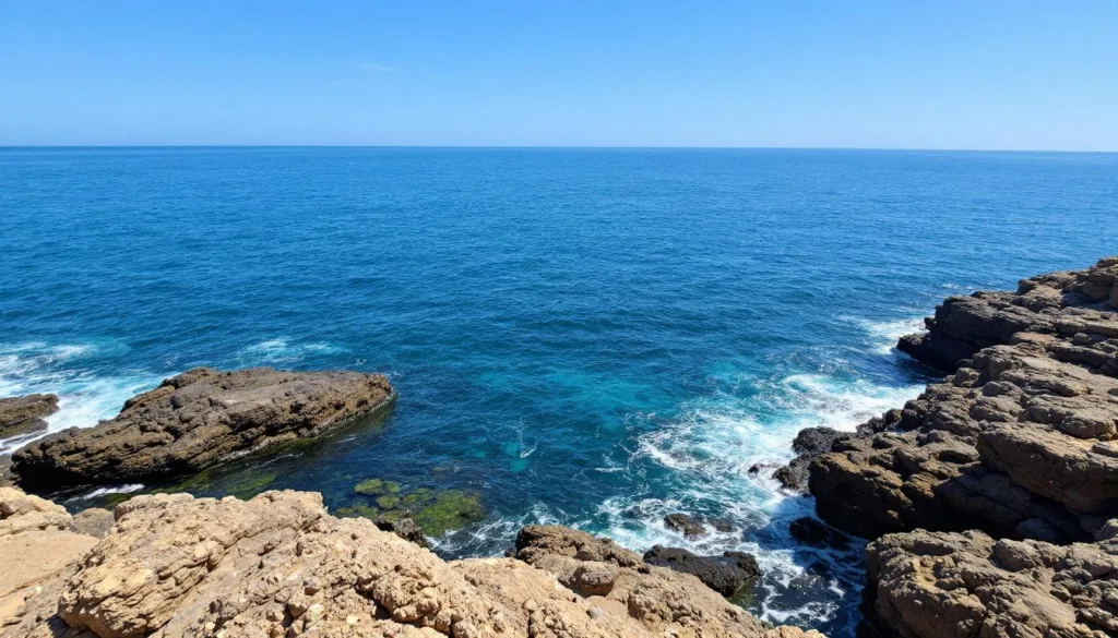 גלה מדוע צבי הים שמצאו מטפסים איטלקים מעוררים דיון ומחלוקת בעולם המדע, ומה המשמעות של הממצא המרתק הזה.