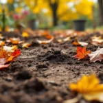 גלה את טעות הסתיו שחוזרת על עצמה מדי שנה בקרב גננים, הפוגעת באדמה יותר ממה שציפיתם, ולמד כיצד להימנע ממנה לשמירה על קרקע בריאה.